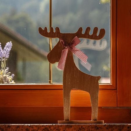 Montafon Alpen Chalet Vandans Εξωτερικό φωτογραφία