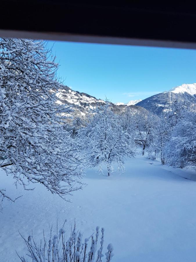 Montafon Alpen Chalet Vandans Εξωτερικό φωτογραφία